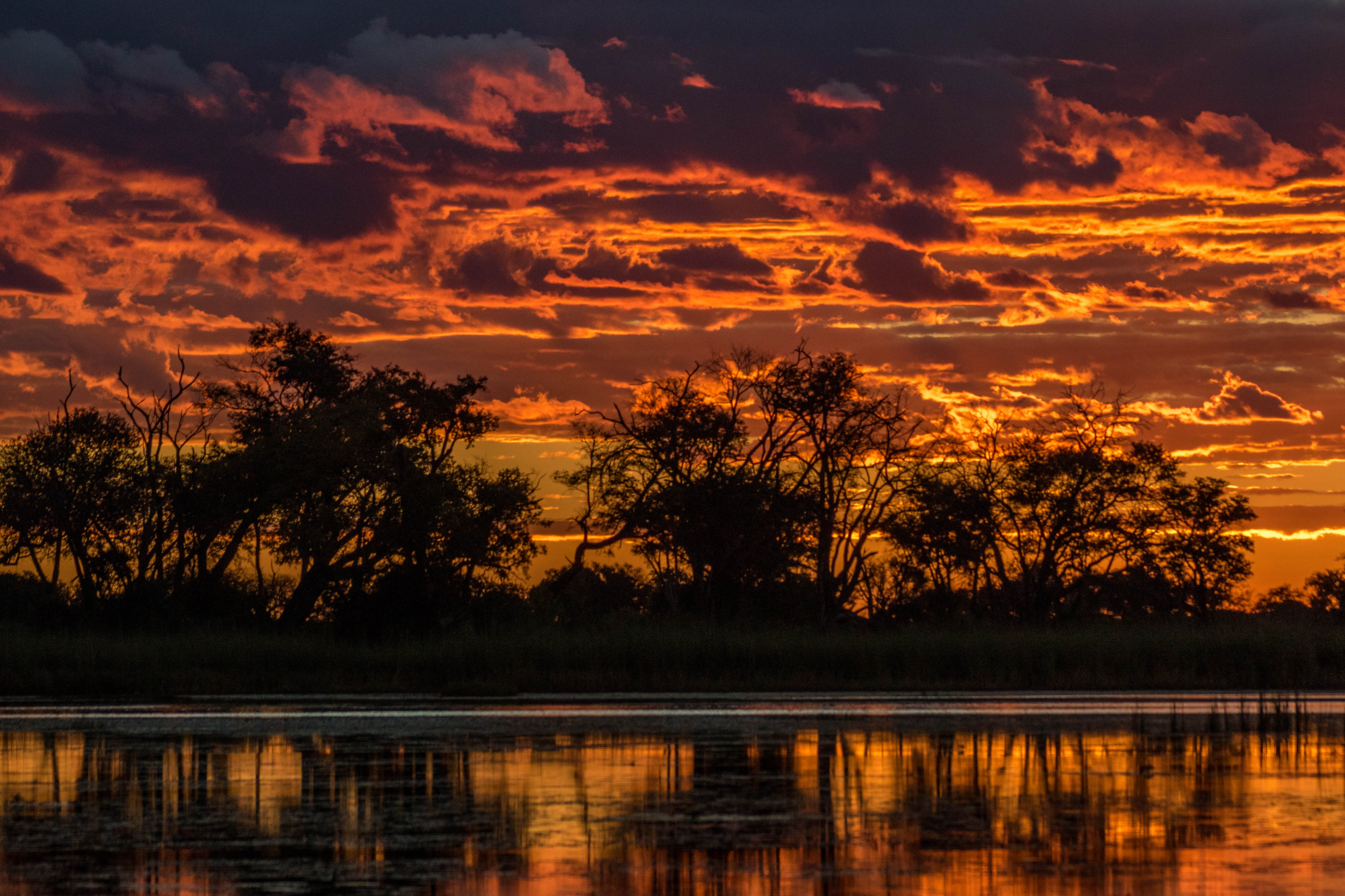 Botswana, Okavango Delta und Savute Region